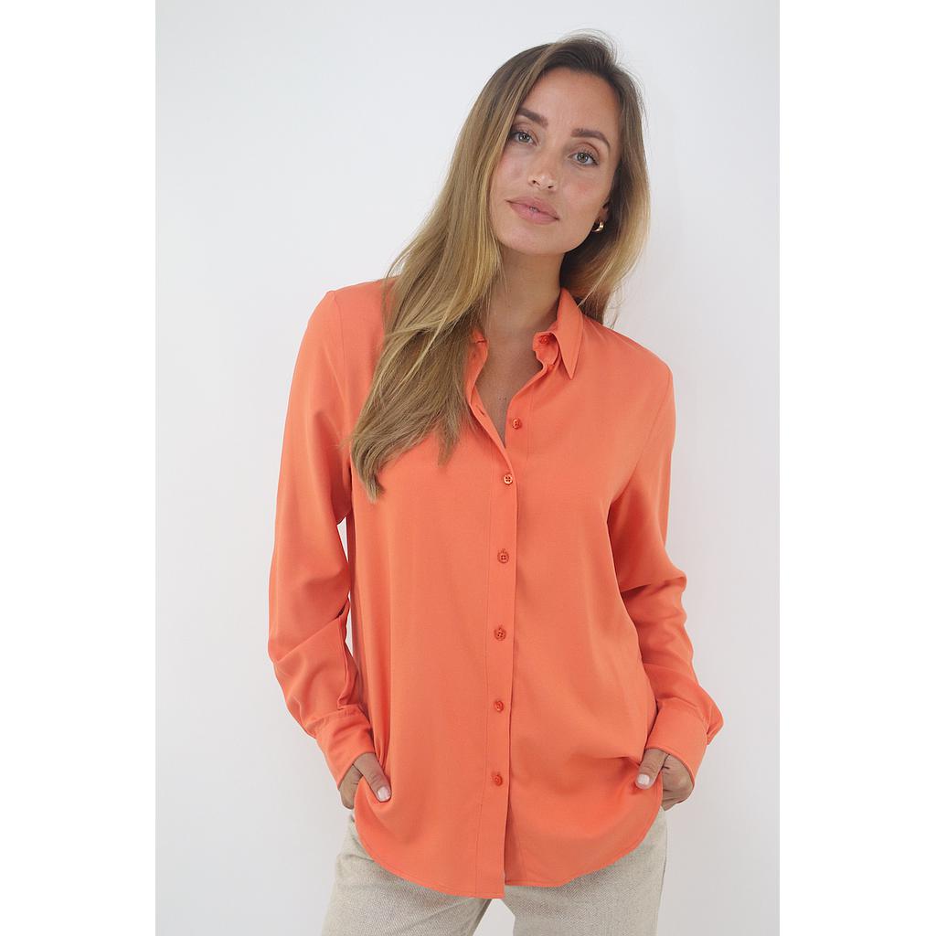 Blouses Shirts Tunics women