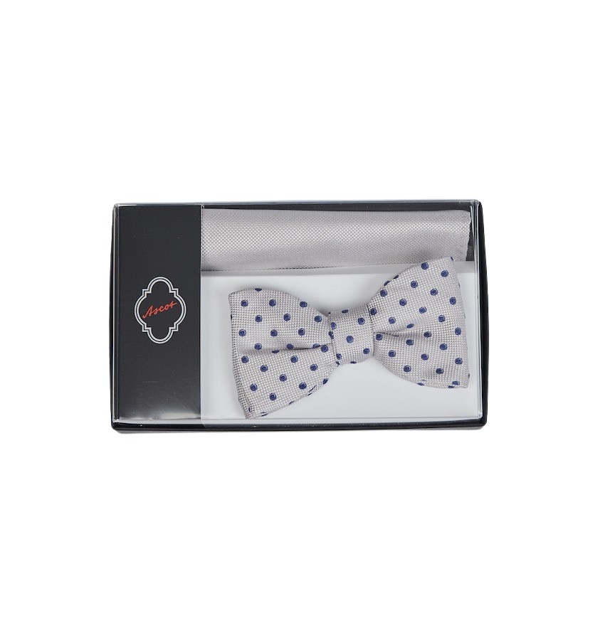 Ascot pochette heren grijs