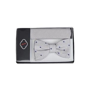 Ascot pochette heren grijs