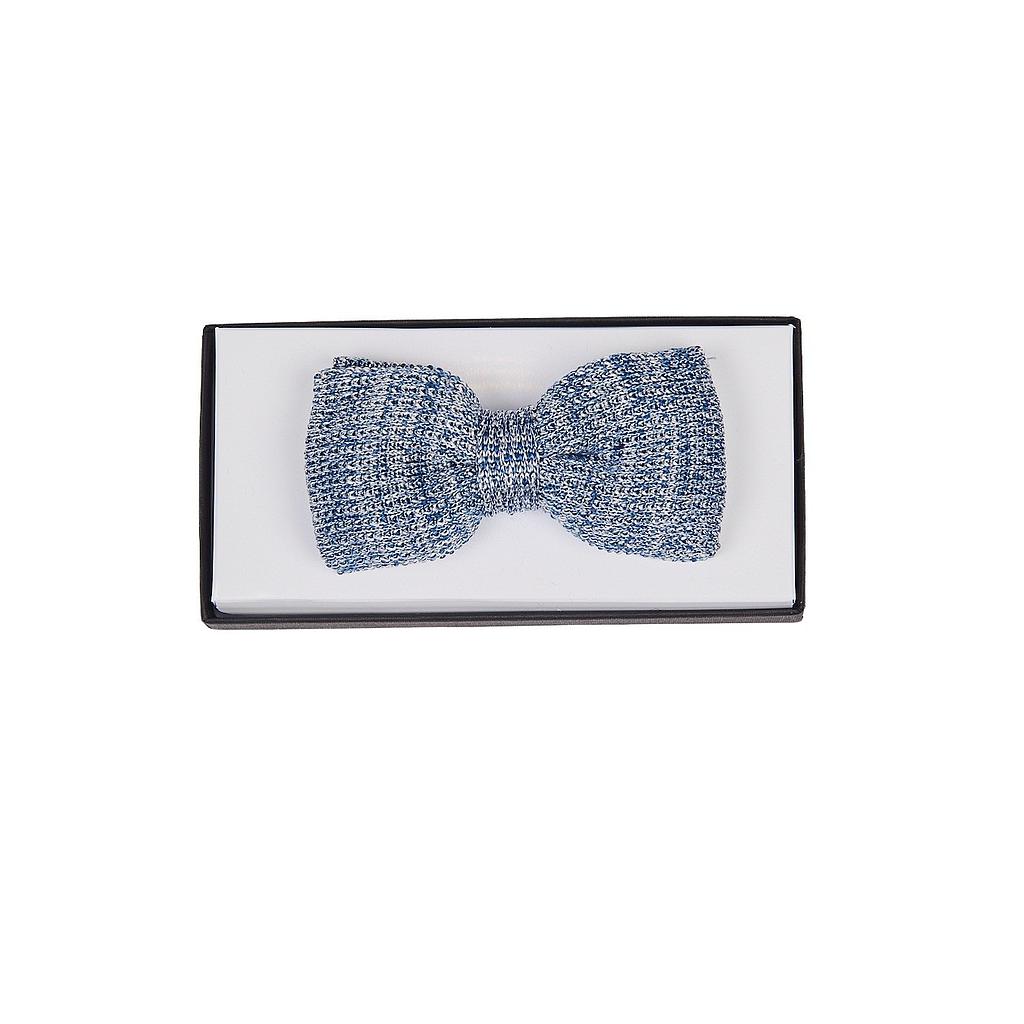 Ascot strikje heren blauw