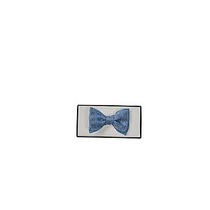 Ascot strikje heren blauw