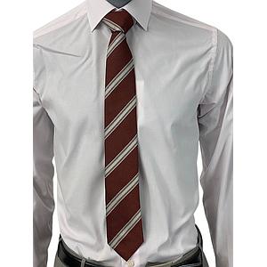 Corneliani das heren divers