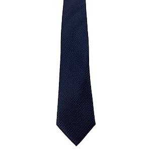 Corneliani men's tie divers