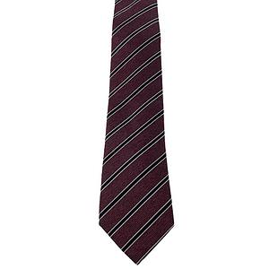 Corneliani men's tie divers