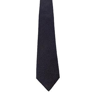 Corneliani men's tie divers